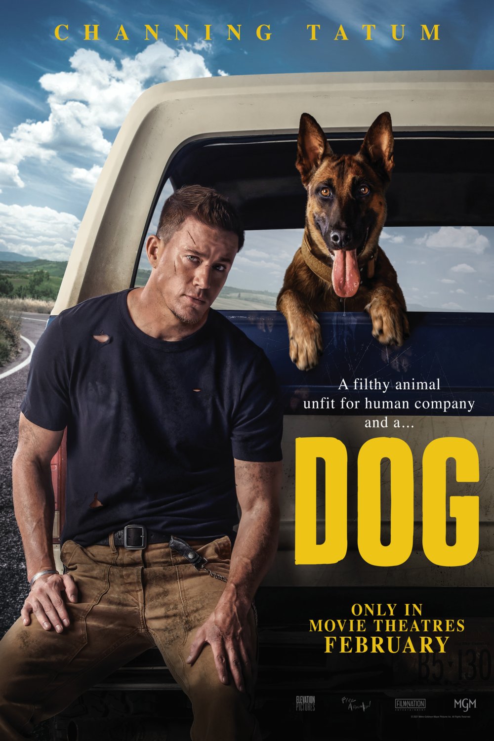 L'affiche du film Dog