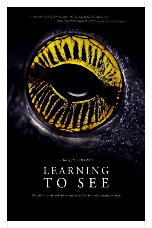 L'affiche du film Learning to See: The World of Insects