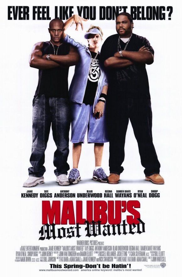 L'affiche du film Le Truand de Malibu