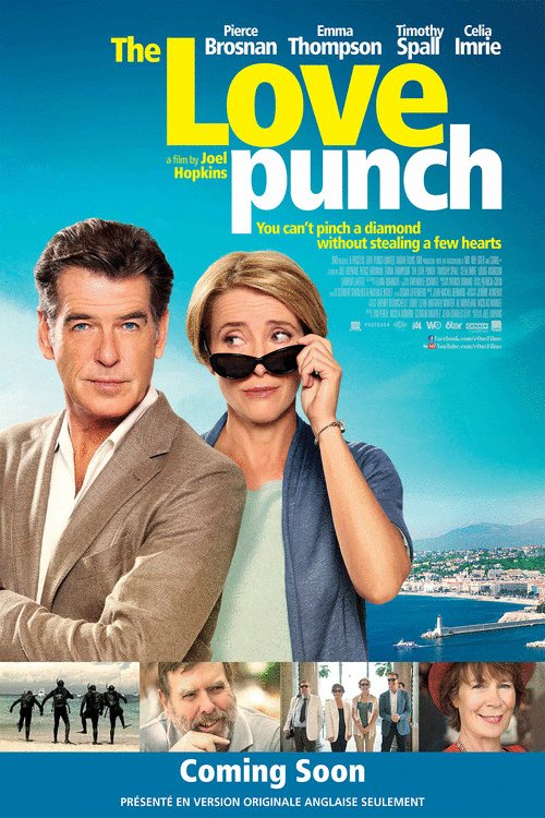 L'affiche du film The Love Punch