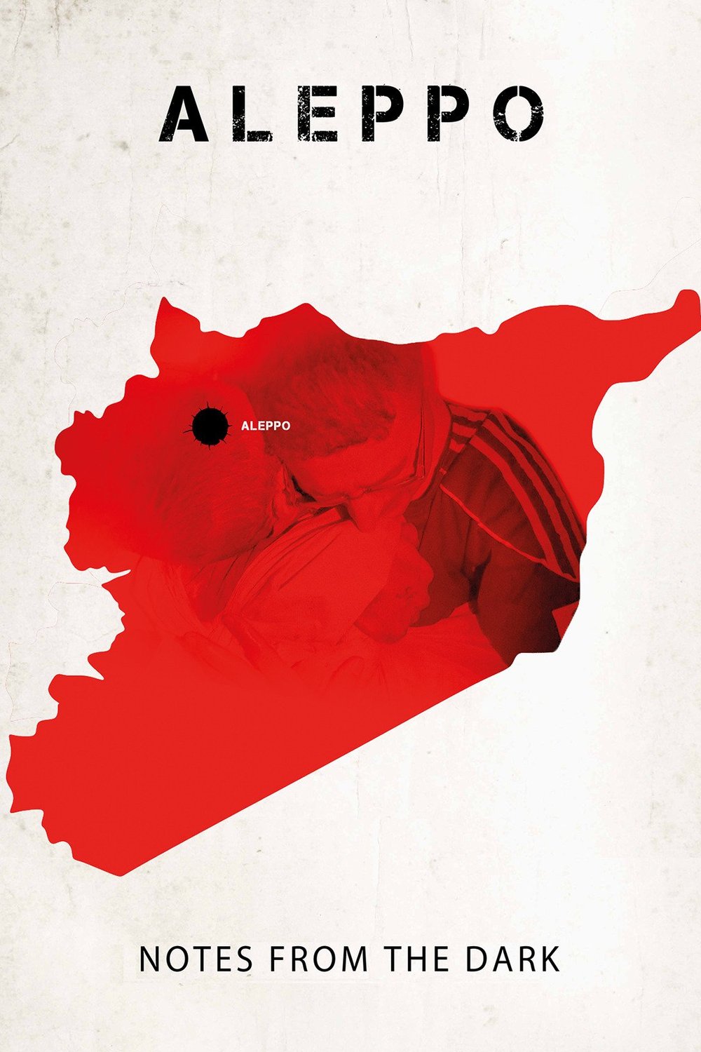 L'affiche du film Aleppo. Notes from the Dark