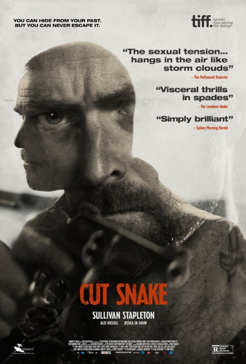 Poster of the movie Cut Snake