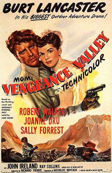 L'affiche du film Vengeance Valley