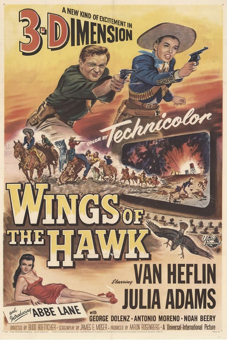 L'affiche du film Wings of the Hawk