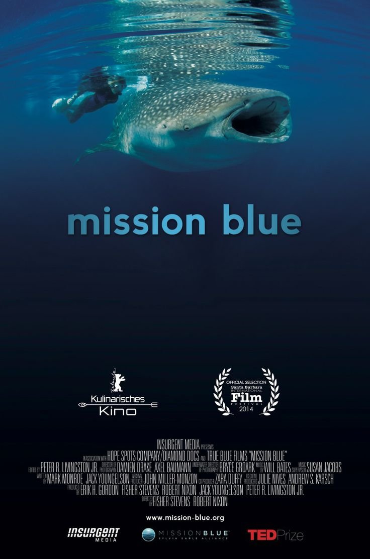 L'affiche du film Mission Blue
