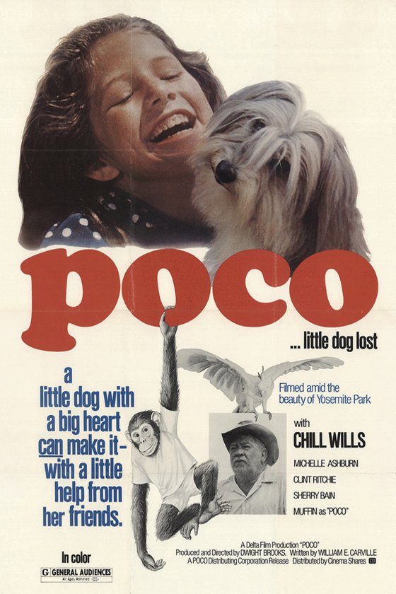 L'affiche du film Poco... Little Dog Lost