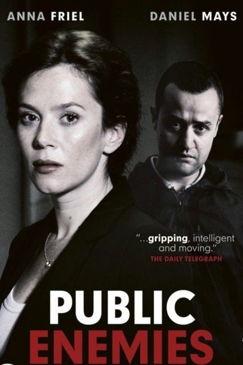 Poster of the movie Public Enemies