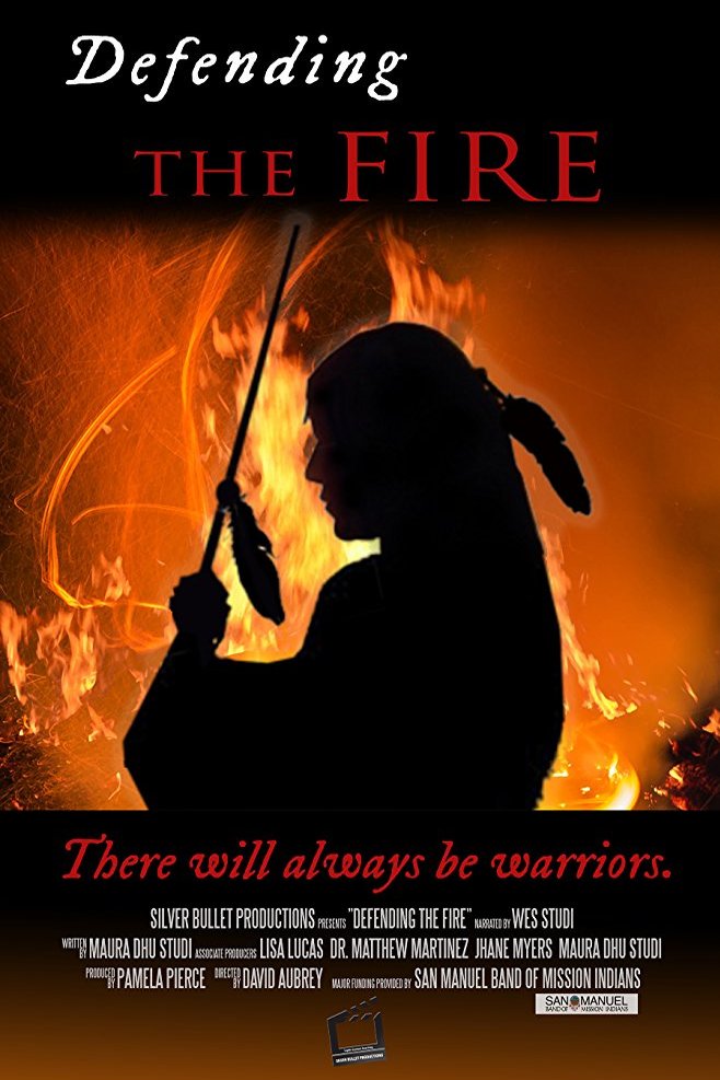 L'affiche du film Defending the Fire