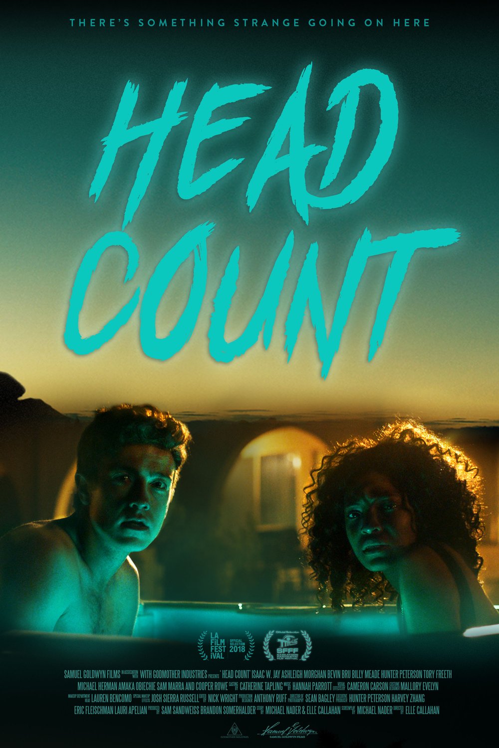 L'affiche du film Head Count