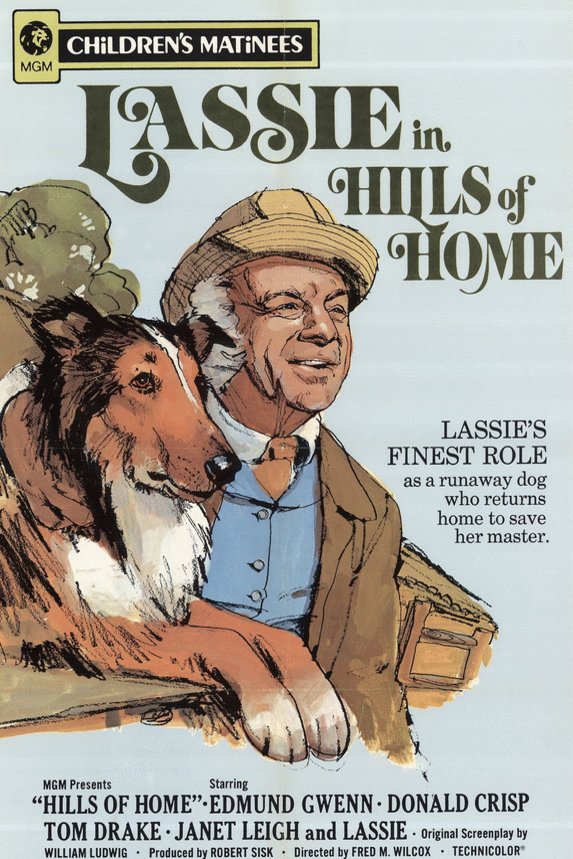 L'affiche du film Hills of Home
