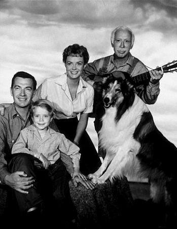 L'affiche originale du film Lassie en anglais