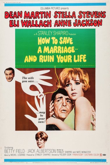 L'affiche du film How to Save a Marriage and Ruin Your Life