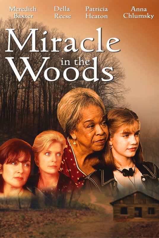 Poster of the movie Miracle in the Woods