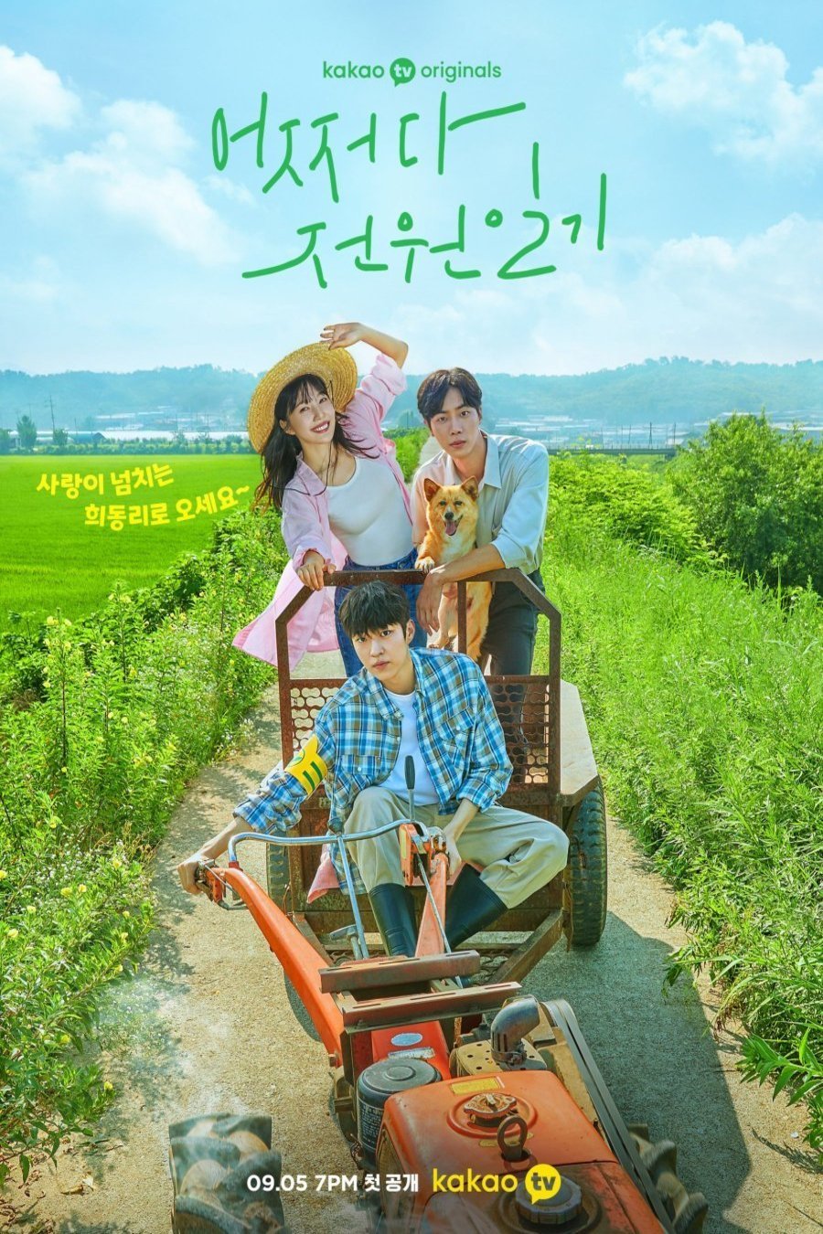 L'affiche originale du film Eojjeoda Jeonwonilgi en coréen