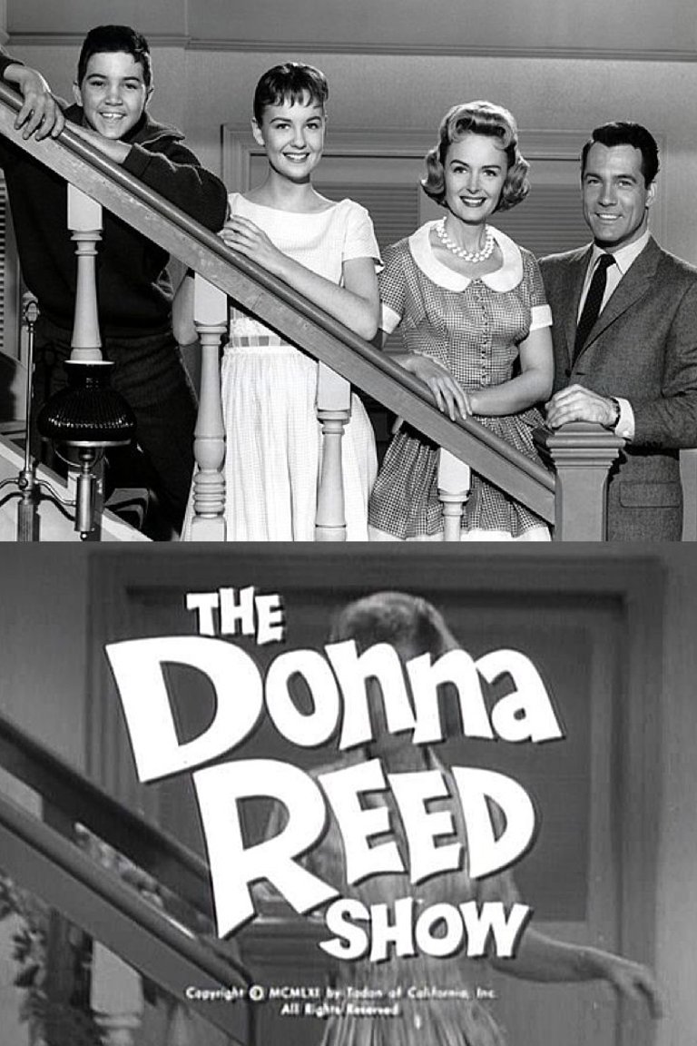 L'affiche du film The Donna Reed Show