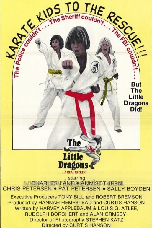 L'affiche du film The Little Dragons