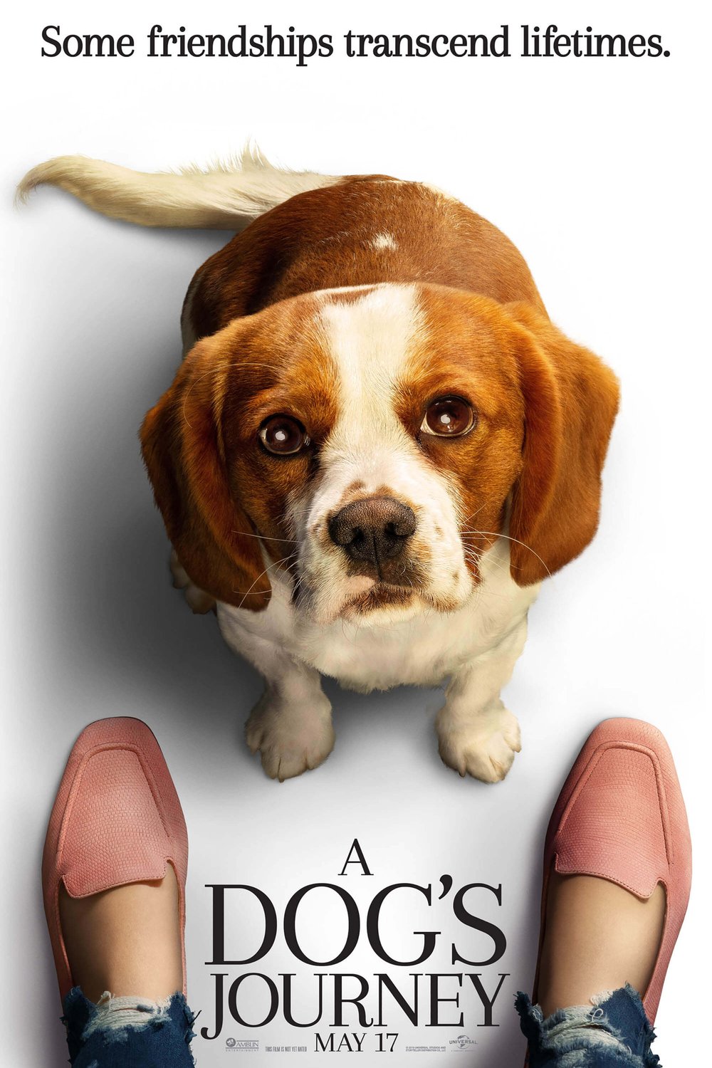 L'affiche du film Mes voyages de chien