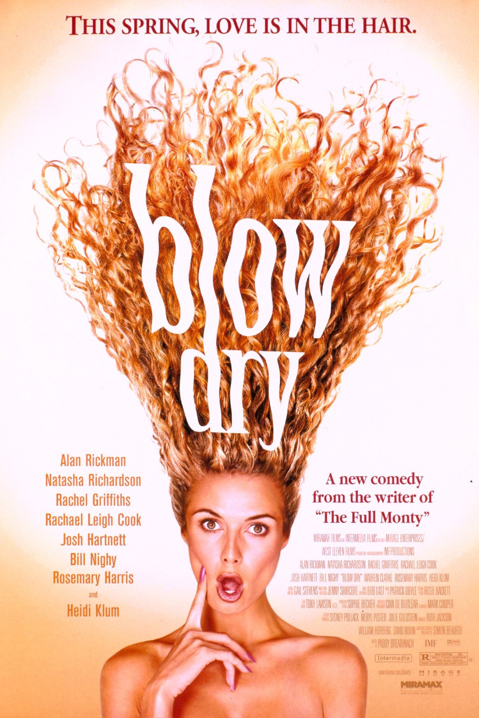 L'affiche du film Blow Dry