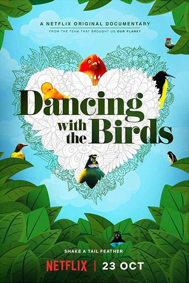 L'affiche du film Dancing with the Birds