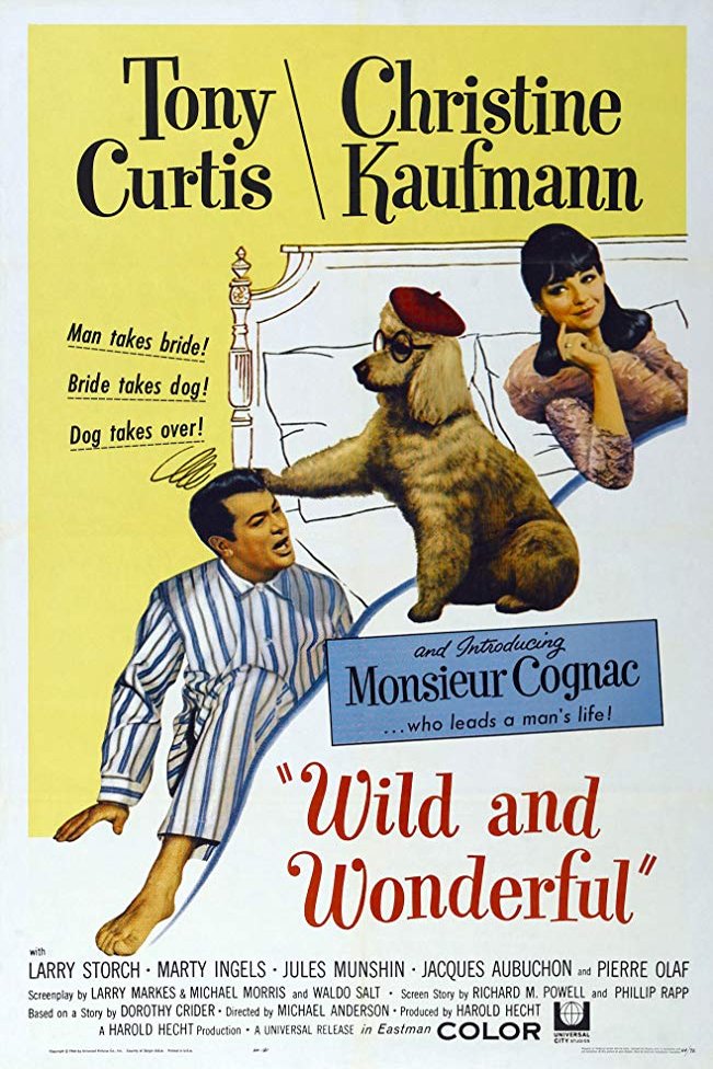 L'affiche du film Wild and Wonderful