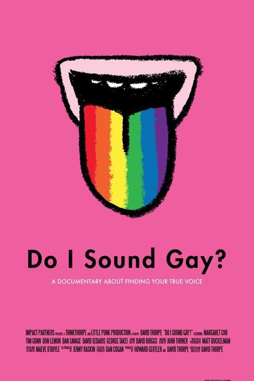 L'affiche du film Do I Sound Gay