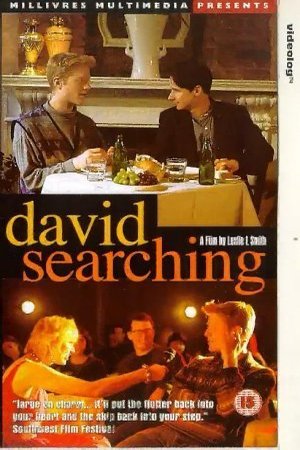 L'affiche du film David Searching