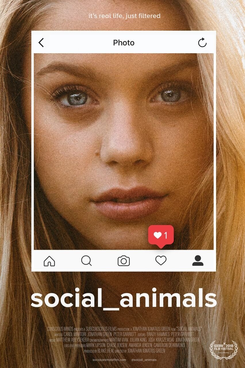 L'affiche du film Social_animals