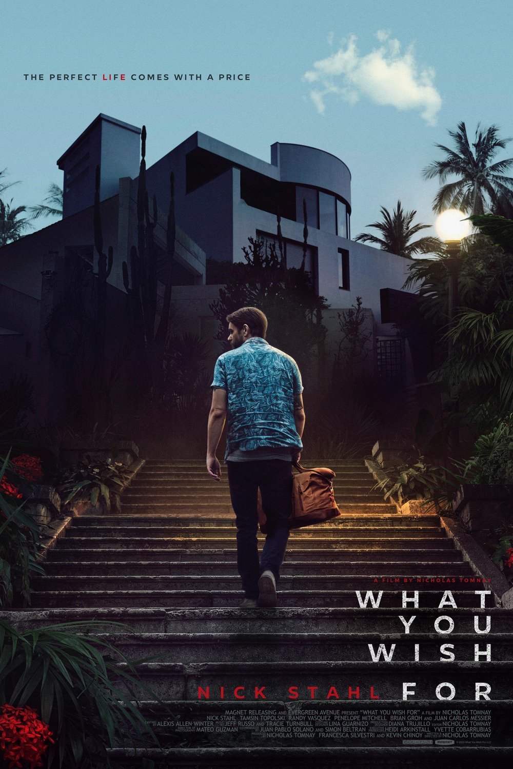Poster of the movie What You Wish For
