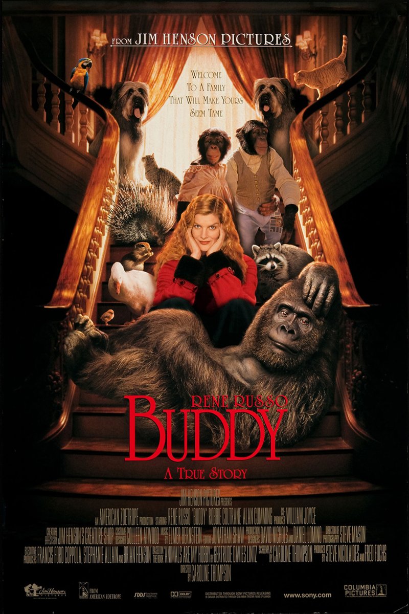 L'affiche du film Buddy