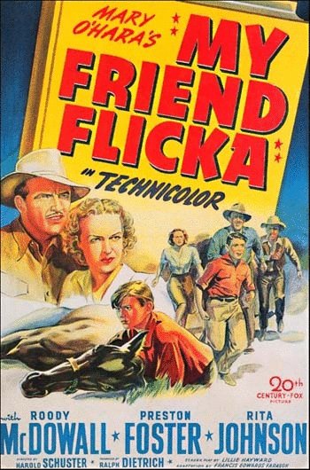 Poster of the movie My Friend Flicka