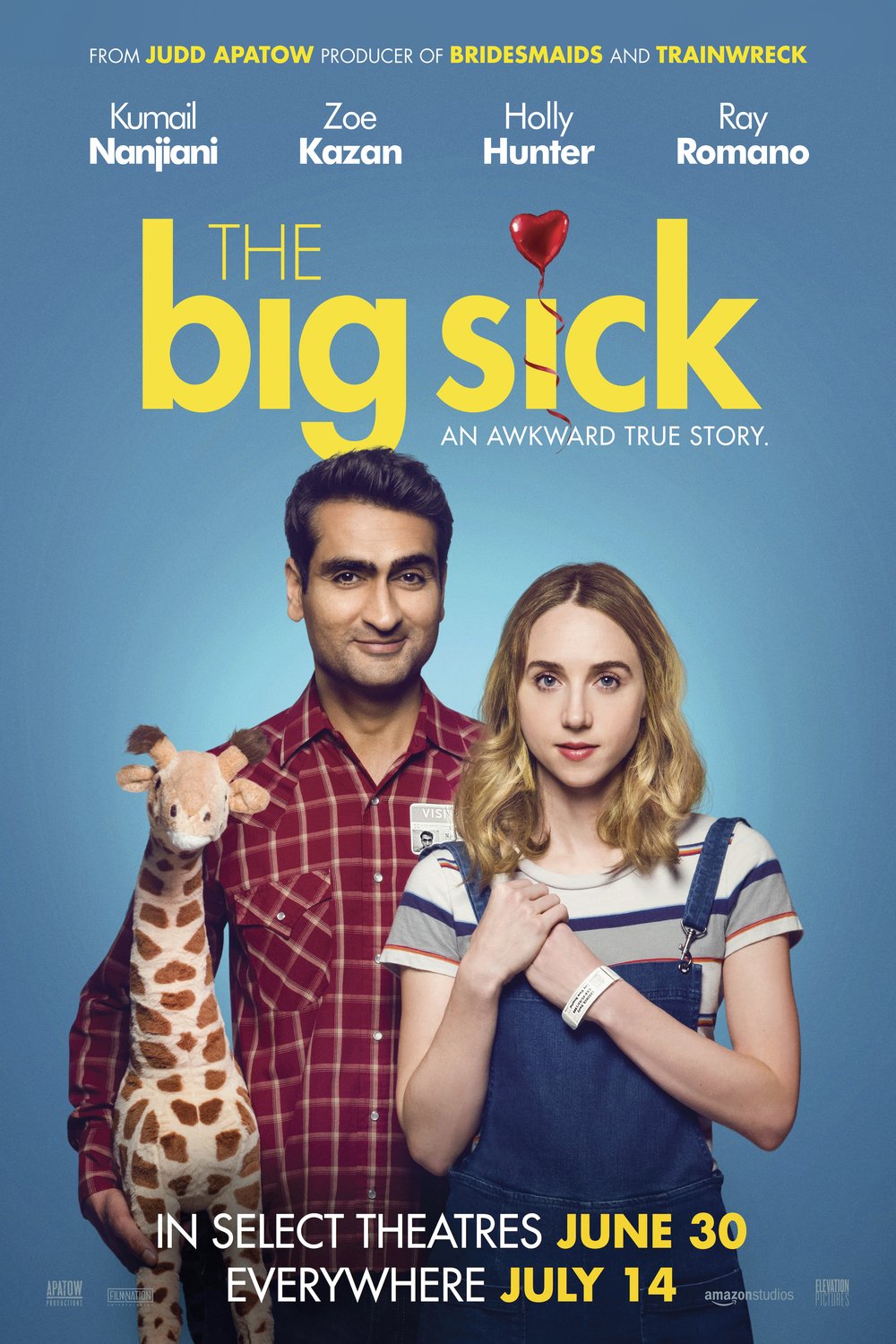 L'affiche du film The Big Sick