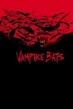 L'affiche du film Vampire Bats