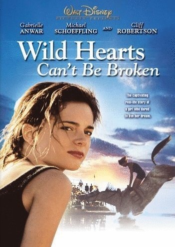 L'affiche du film Wild Hearts Can't Be Broken