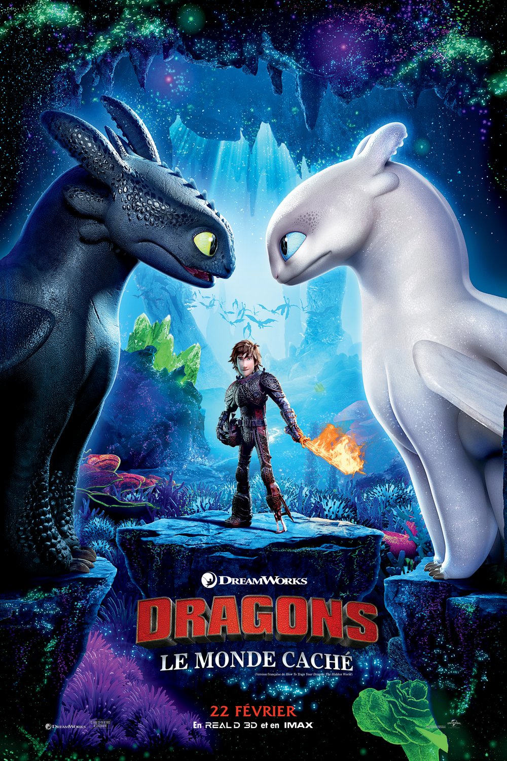 L'affiche du film Dragons: le monde caché