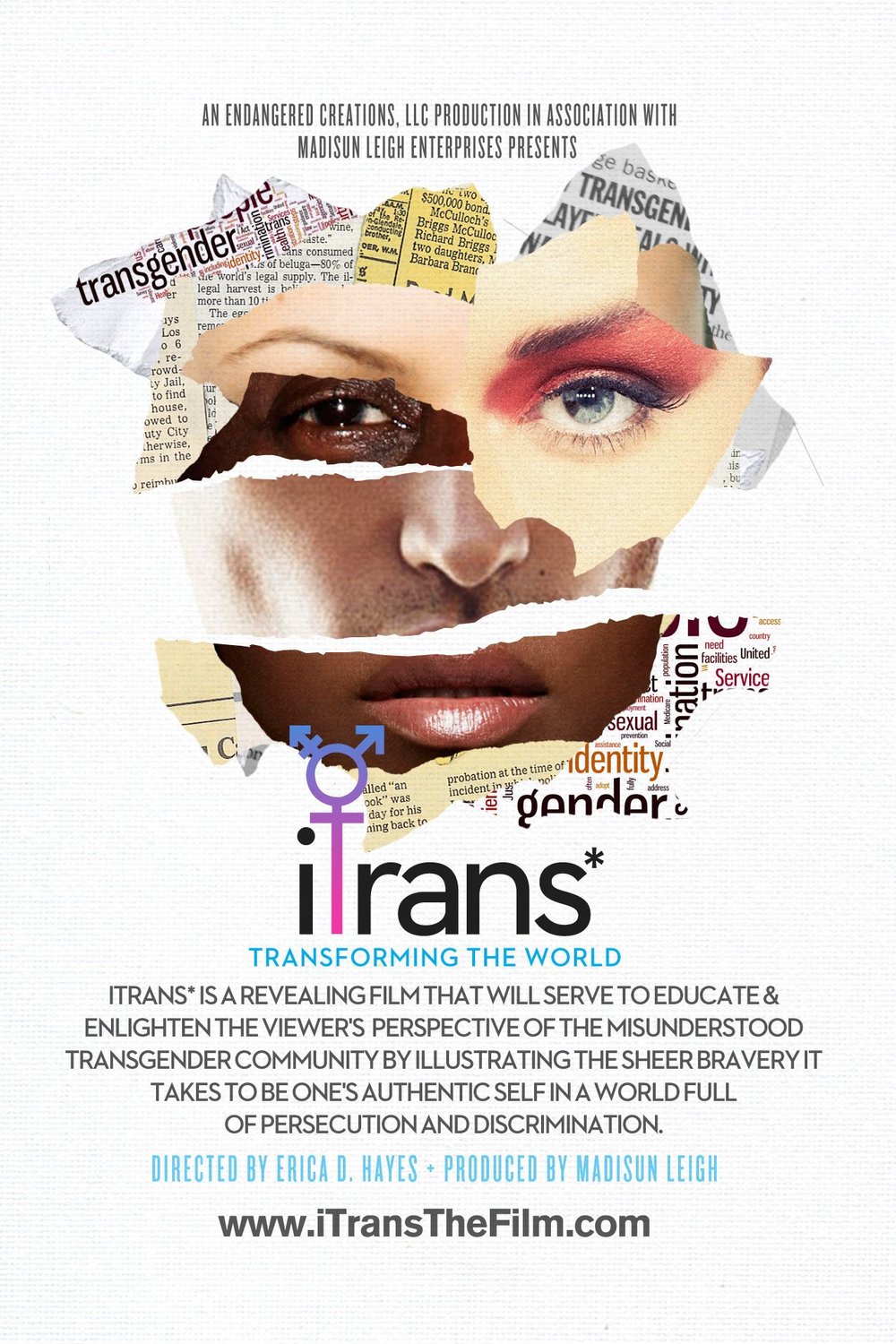 L'affiche du film ITrans