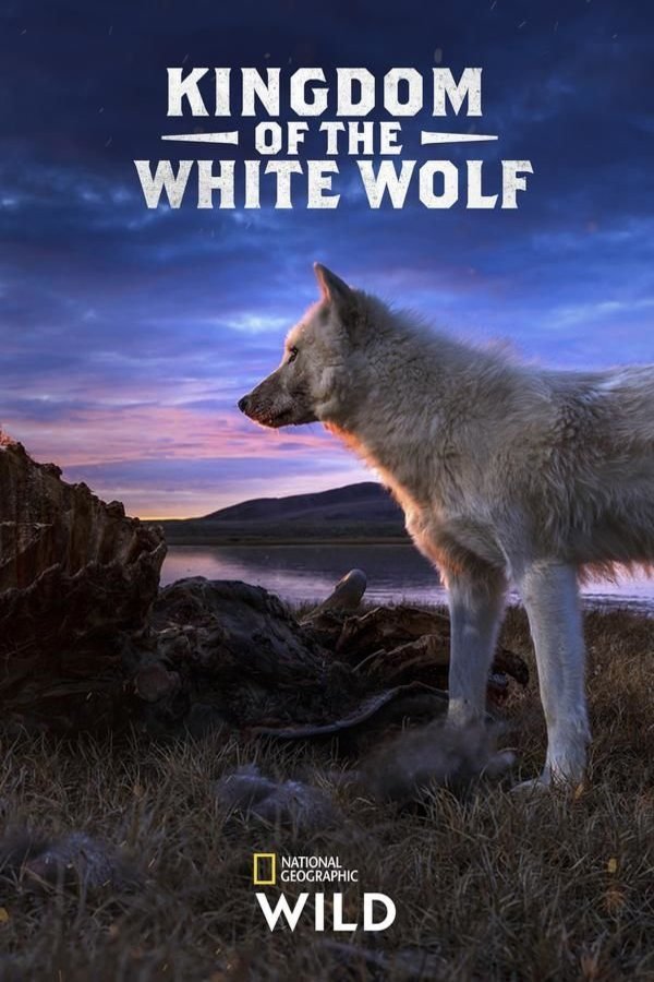L'affiche du film Kingdom of the White Wolf