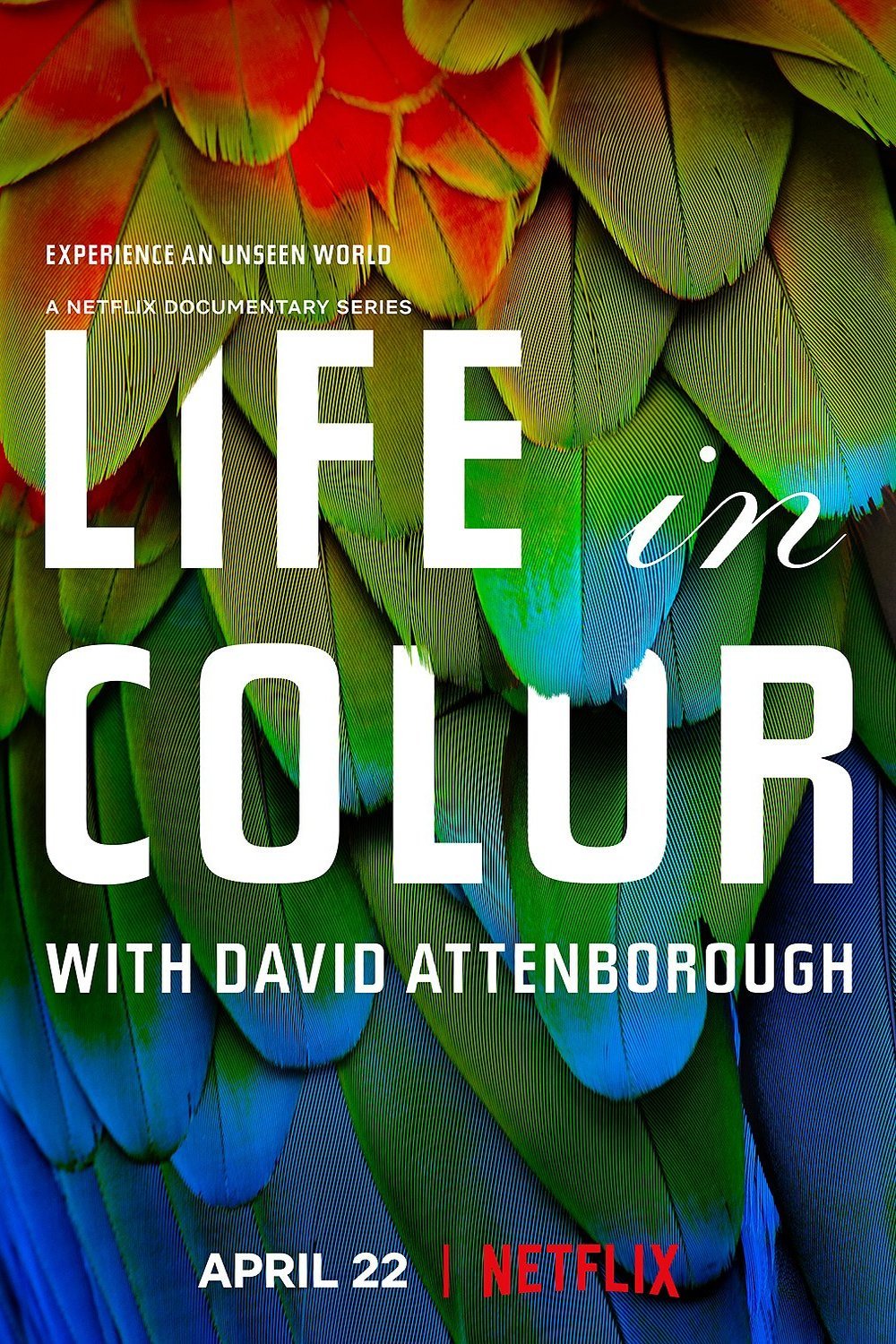 L'affiche du film Life in Color with David Attenborough