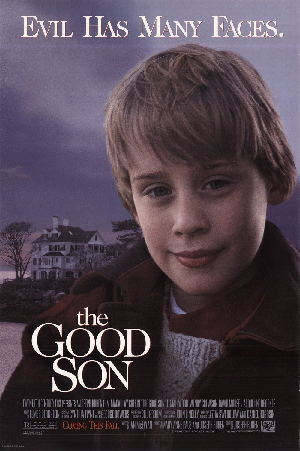 L'affiche du film The Good Son