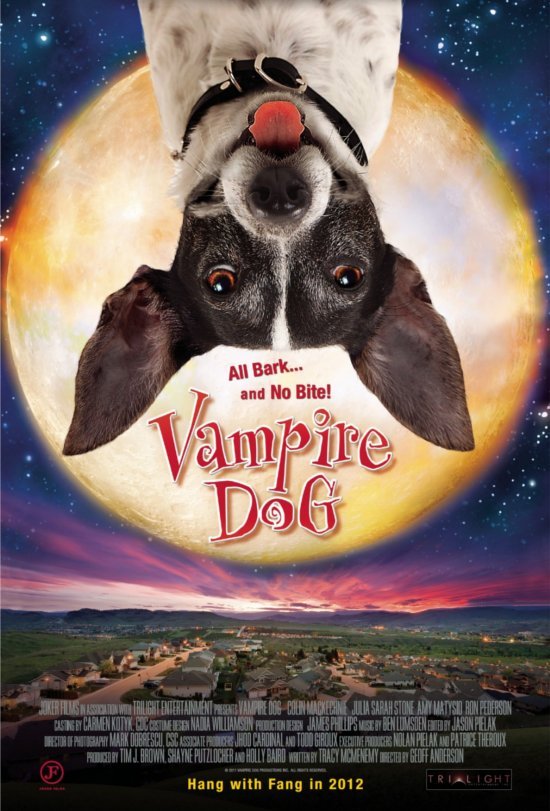 L'affiche du film Vampire Dog