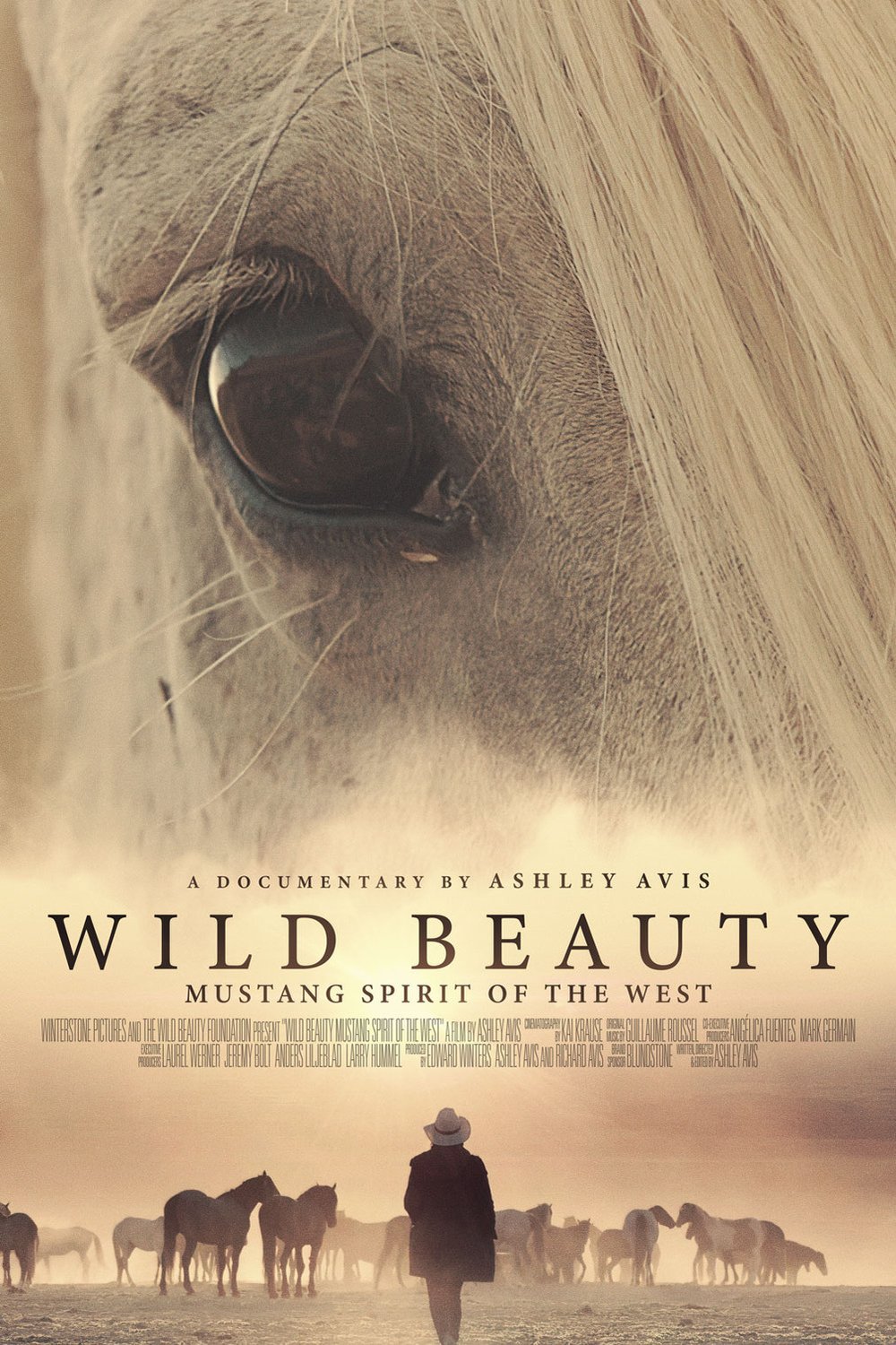L'affiche du film Wild Beauty: Mustang Spirit of the West