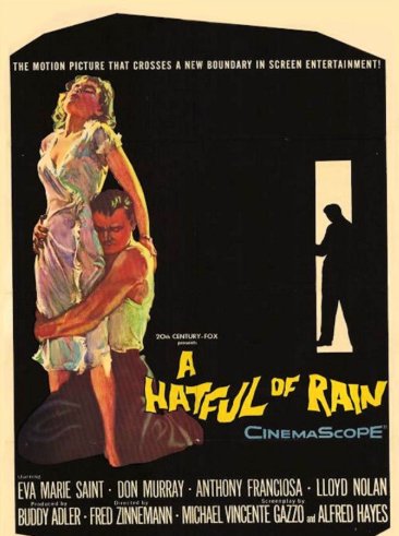 Poster of the movie A Hatful of Rain