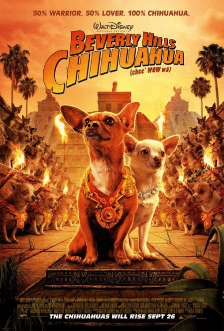 L'affiche du film Beverly Hills Chihuahua