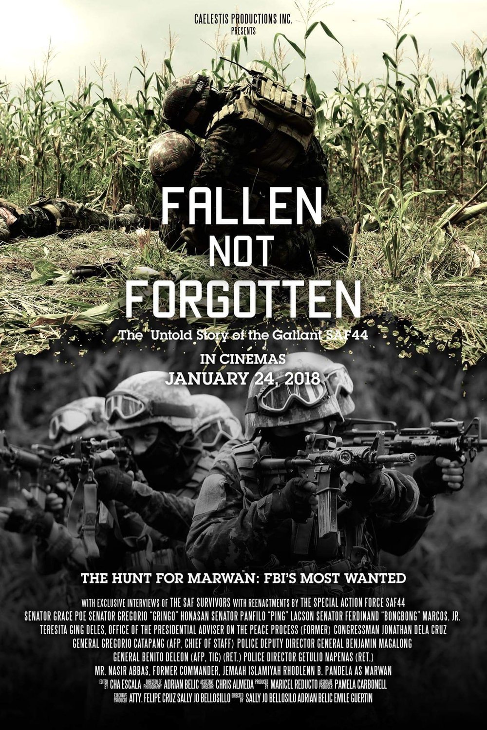 L'affiche du film Fallen Not Forgotten
