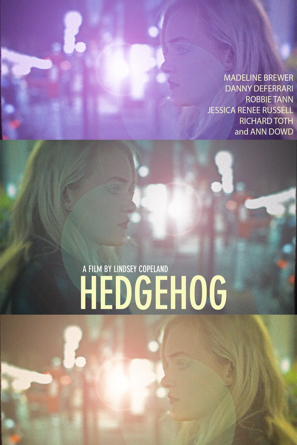 L'affiche du film Hedgehog