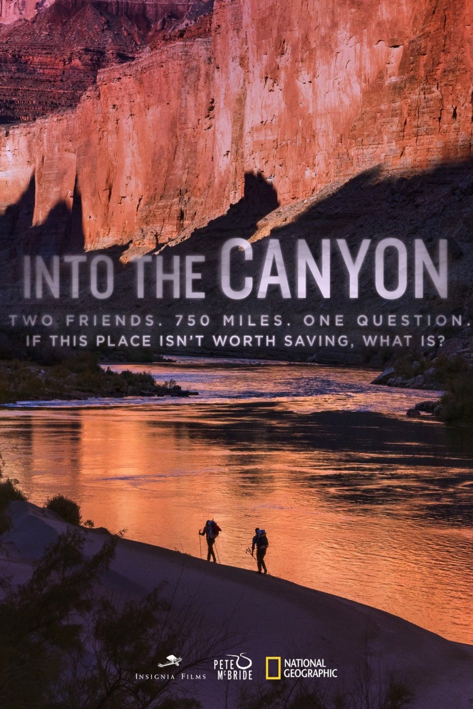 L'affiche du film Into the Canyon