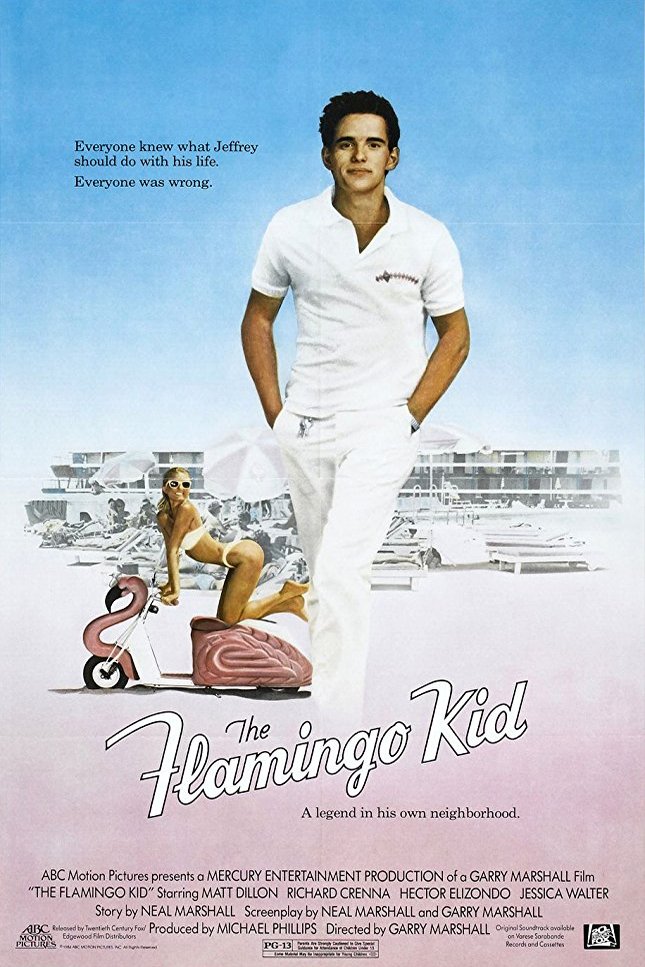 L'affiche du film The Flamingo Kid