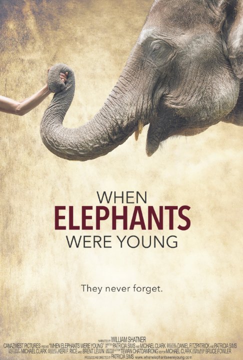 L'affiche du film When Elephants Were Young