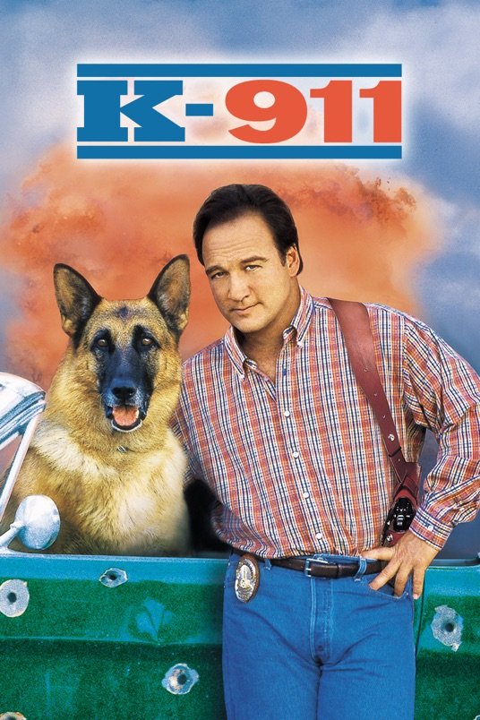 Poster of the movie K-911