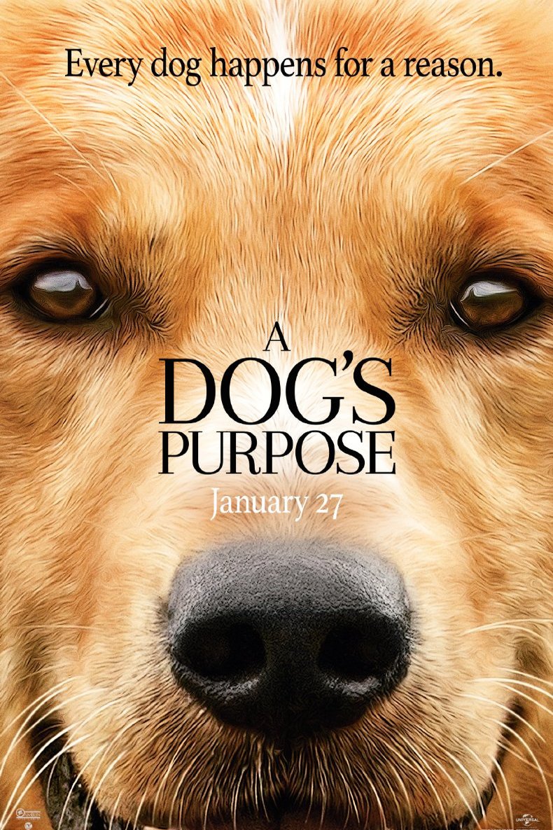 L'affiche du film A Dog's Purpose
