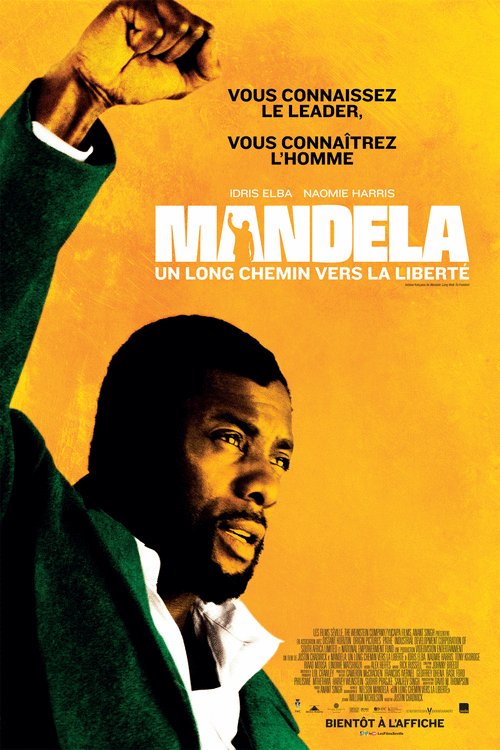 L'affiche du film Mandela: Un long chemin vers la liberté